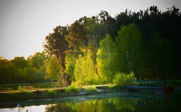 Le lac de Montendre