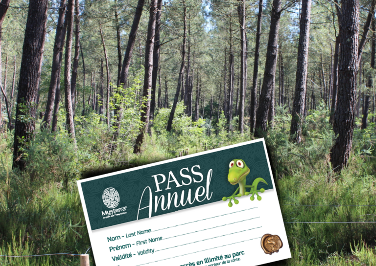 Pass annuel