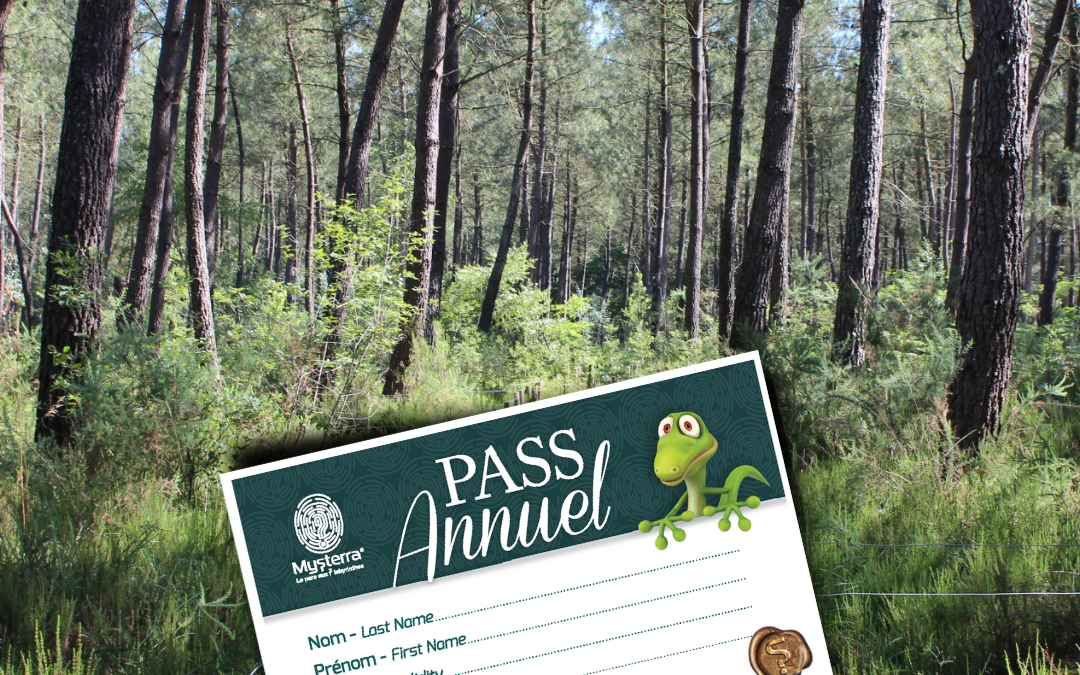 Pass annuel